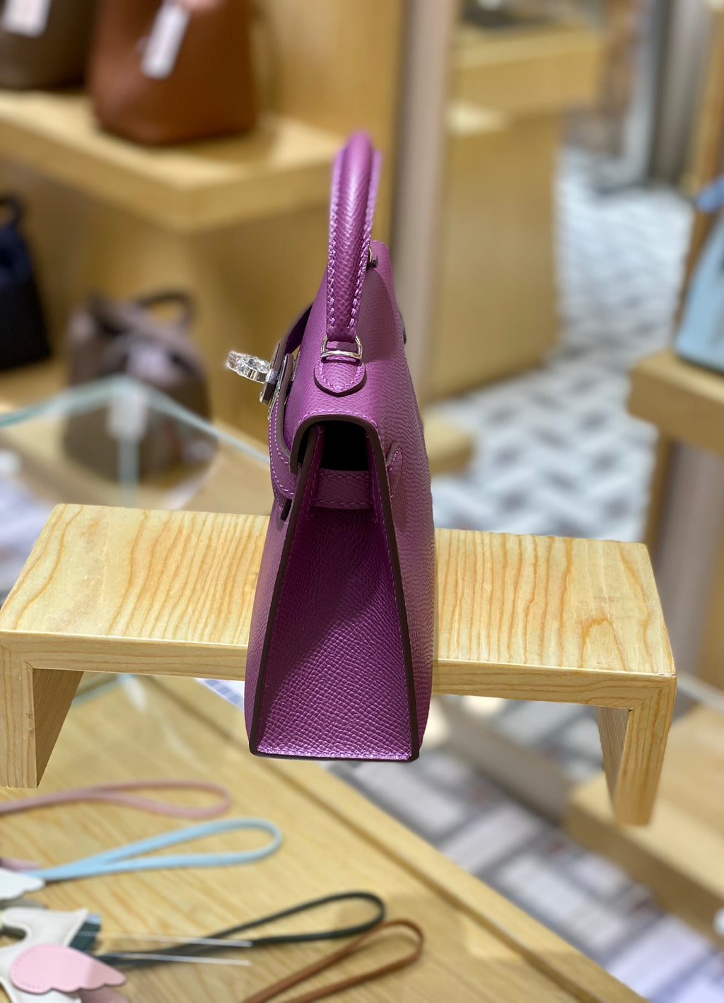 19 Epsom Anemone Purple